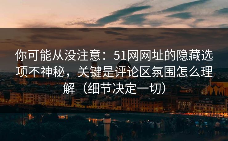 你可能从没注意：51网网址的隐藏选项不神秘，关键是评论区氛围怎么理解（细节决定一切）