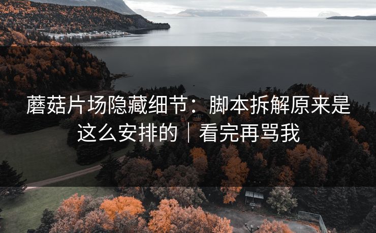 蘑菇片场隐藏细节：脚本拆解原来是这么安排的｜看完再骂我