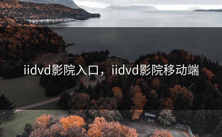 iidvd影院入口，iidvd影院移动端