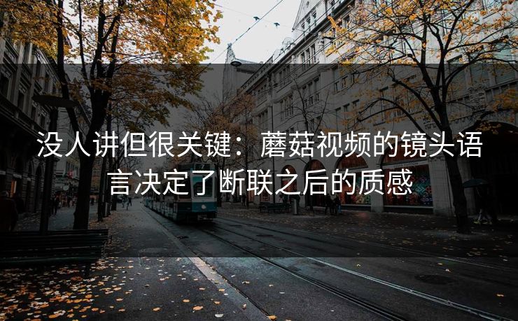 没人讲但很关键：蘑菇视频的镜头语言决定了断联之后的质感